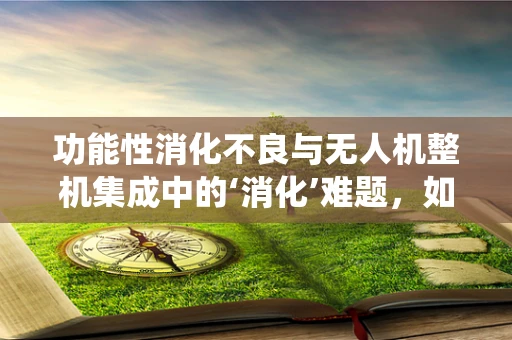 功能性消化不良与无人机整机集成中的‘消化’难题，如何优化系统性能？