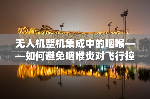 无人机整机集成中的咽喉——如何避免咽喉炎对飞行控制系统的潜在影响？