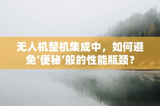 无人机整机集成中，如何避免‘便秘’般的性能瓶颈？