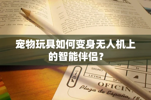 宠物玩具如何变身无人机上的智能伴侣？