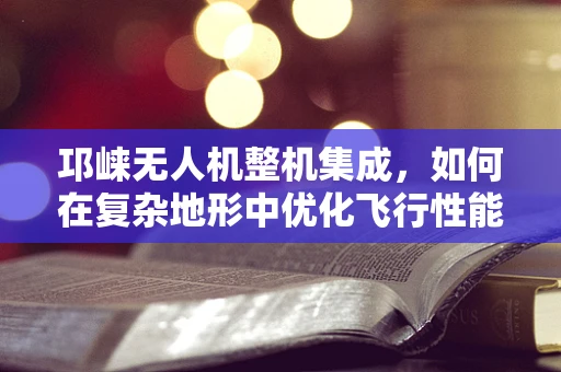 邛崃无人机整机集成，如何在复杂地形中优化飞行性能？