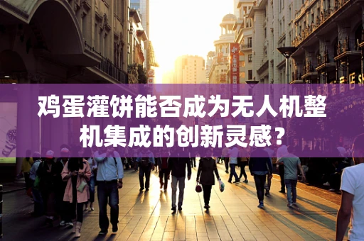 鸡蛋灌饼能否成为无人机整机集成的创新灵感？