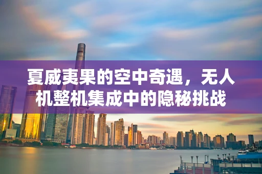 夏威夷果的空中奇遇，无人机整机集成中的隐秘挑战