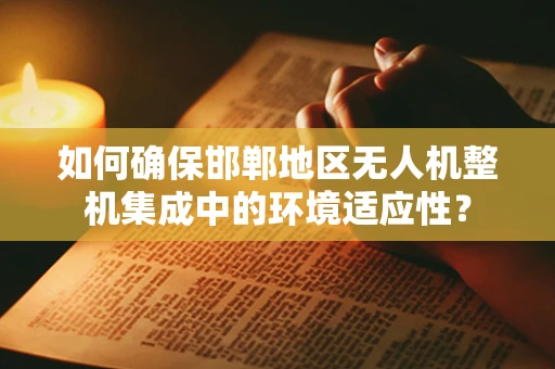 如何确保邯郸地区无人机整机集成中的环境适应性？