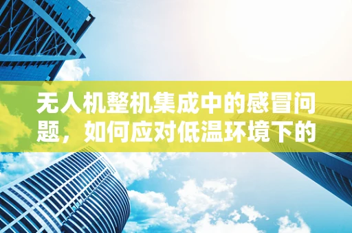 无人机整机集成中的感冒问题，如何应对低温环境下的性能影响？