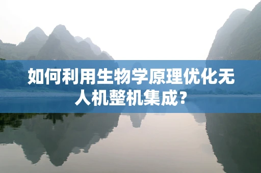 如何利用生物学原理优化无人机整机集成？