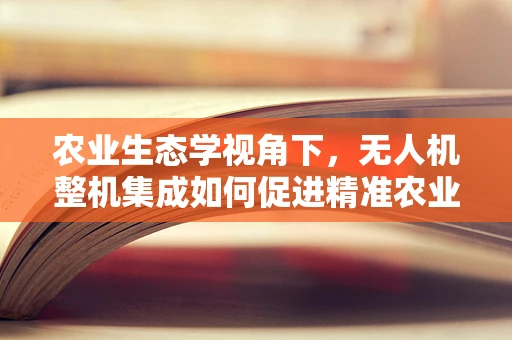 农业生态学视角下，无人机整机集成如何促进精准农业发展？