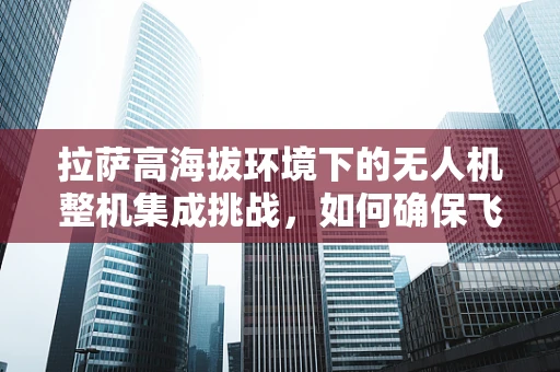 拉萨高海拔环境下的无人机整机集成挑战，如何确保飞行稳定与安全？
