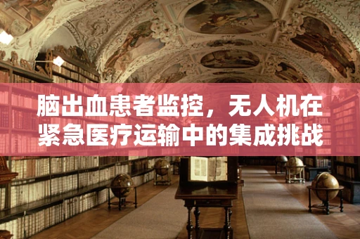 脑出血患者监控，无人机在紧急医疗运输中的集成挑战