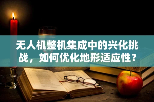 无人机整机集成中的兴化挑战，如何优化地形适应性？