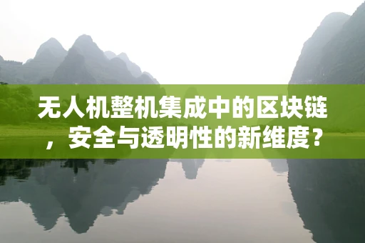 无人机整机集成中的区块链，安全与透明性的新维度？