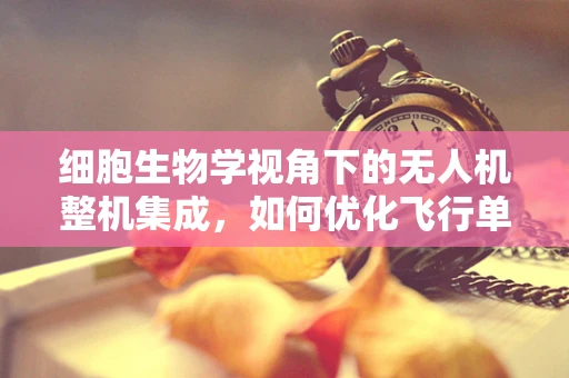 细胞生物学视角下的无人机整机集成，如何优化飞行单元的‘细胞’结构？
