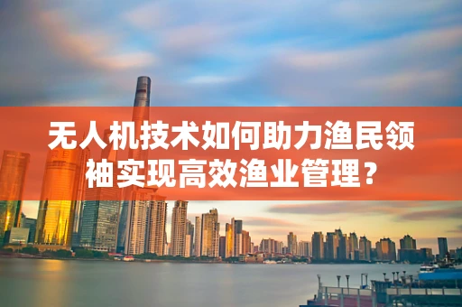 无人机技术如何助力渔民领袖实现高效渔业管理？