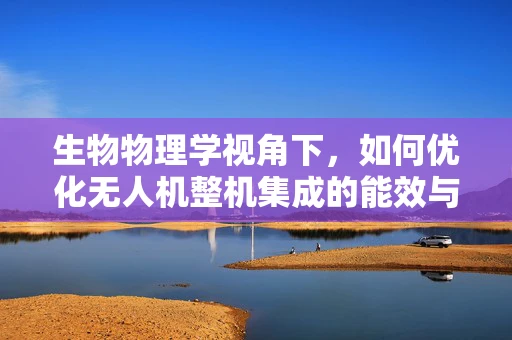 生物物理学视角下，如何优化无人机整机集成的能效与稳定性？