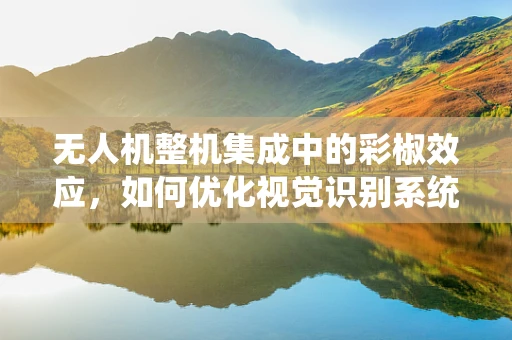 无人机整机集成中的彩椒效应，如何优化视觉识别系统的色彩精准度？