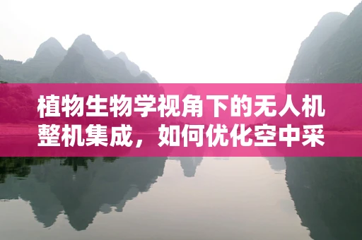 植物生物学视角下的无人机整机集成，如何优化空中采样效率？