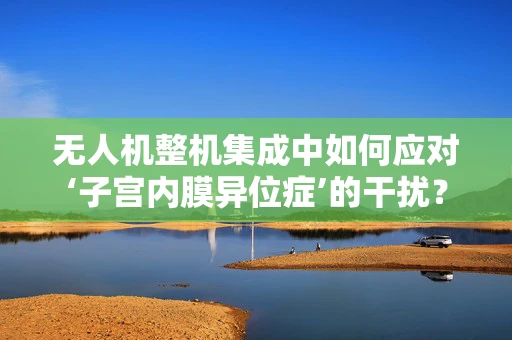 无人机整机集成中如何应对‘子宫内膜异位症’的干扰？