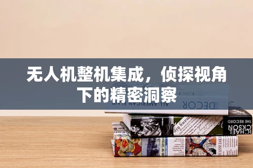 无人机整机集成，侦探视角下的精密洞察