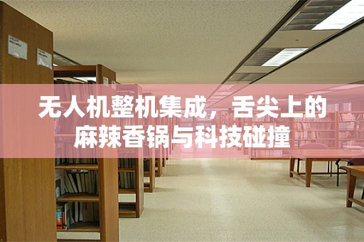 无人机整机集成，舌尖上的麻辣香锅与科技碰撞