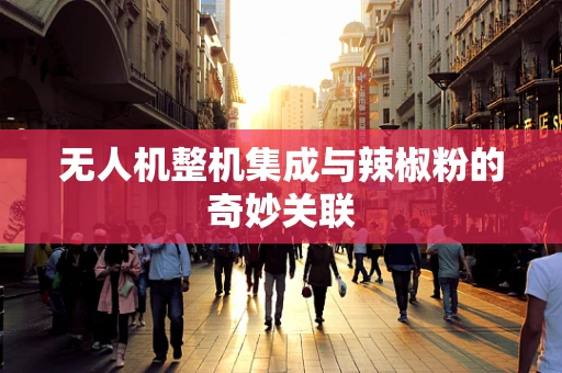无人机整机集成与辣椒粉的奇妙关联