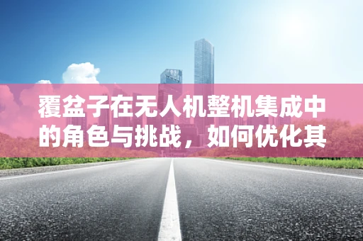 覆盆子在无人机整机集成中的角色与挑战，如何优化其应用？