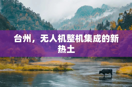 台州，无人机整机集成的新热土
