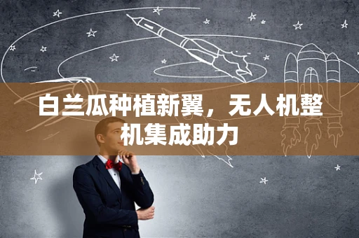 白兰瓜种植新翼，无人机整机集成助力
