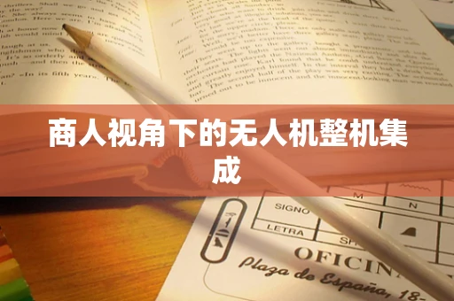 商人视角下的无人机整机集成