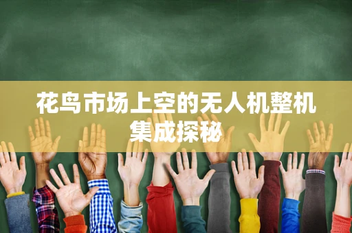 花鸟市场上空的无人机整机集成探秘