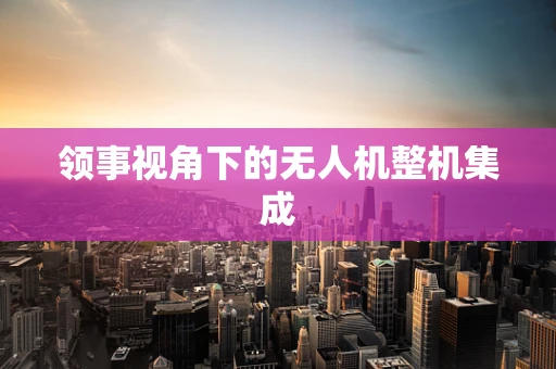 领事视角下的无人机整机集成
