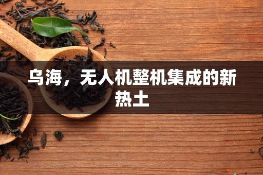 乌海，无人机整机集成的新热土