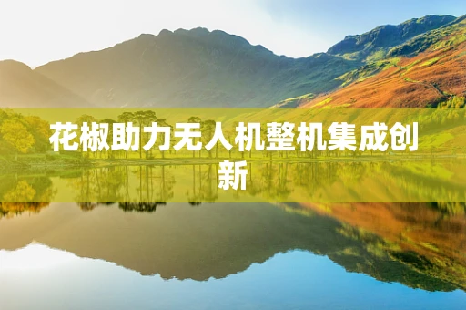 花椒助力无人机整机集成创新