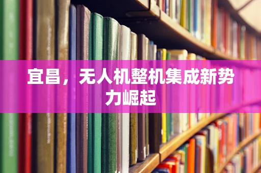 宜昌，无人机整机集成新势力崛起