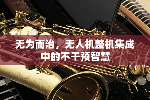 无为而治，无人机整机集成中的不干预智慧