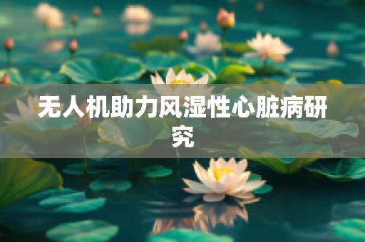 无人机助力风湿性心脏病研究