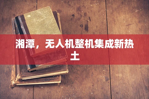 湘潭，无人机整机集成新热土