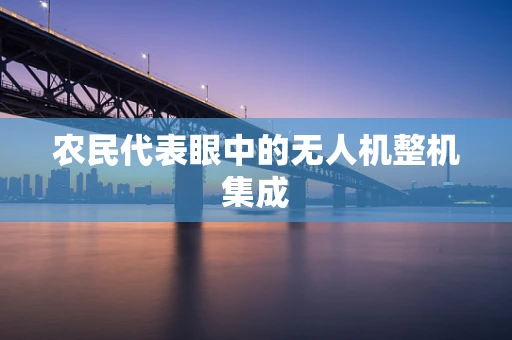 农民代表眼中的无人机整机集成