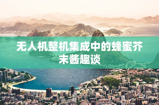 无人机整机集成中的蜂蜜芥末酱趣谈