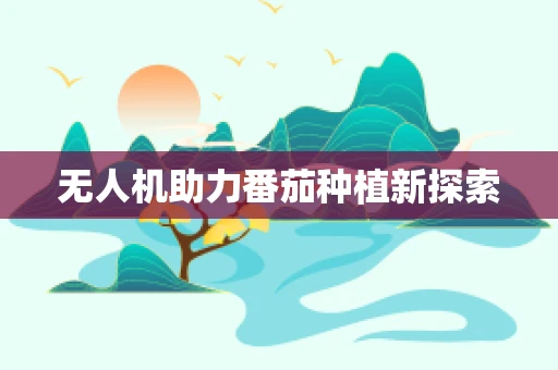 无人机助力番茄种植新探索