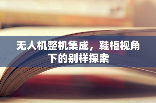 无人机整机集成，鞋柜视角下的别样探索
