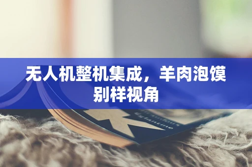 无人机整机集成，羊肉泡馍别样视角
