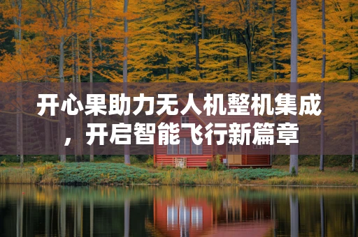 开心果助力无人机整机集成，开启智能飞行新篇章