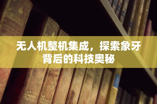 无人机整机集成，探索象牙背后的科技奥秘