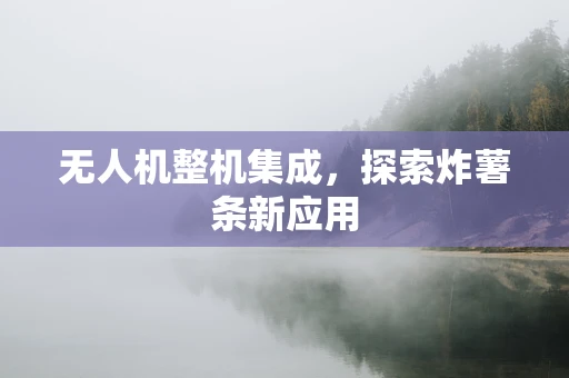 无人机整机集成，探索炸薯条新应用