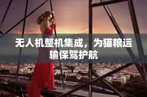 无人机整机集成，为猫粮运输保驾护航