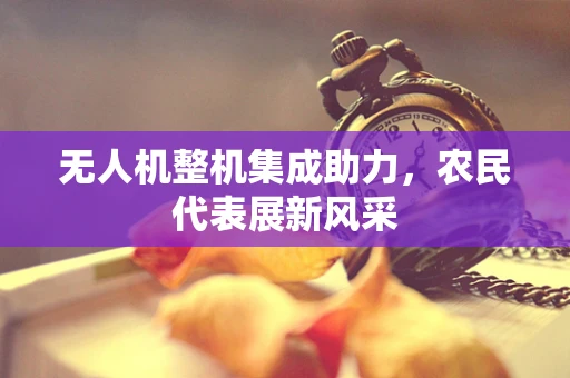 无人机整机集成助力，农民代表展新风采