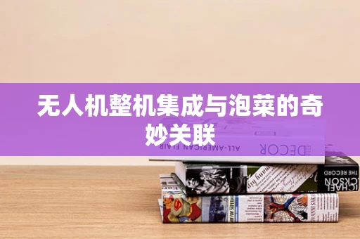 无人机整机集成与泡菜的奇妙关联