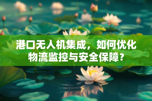 港口无人机集成，如何优化物流监控与安全保障？