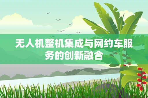 无人机整机集成与网约车服务的创新融合
