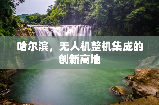 哈尔滨，无人机整机集成的创新高地